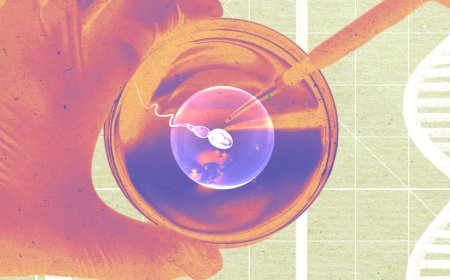 A Startup Says It Grew Human Sperm in a Lab—and Used It to Make Embryos