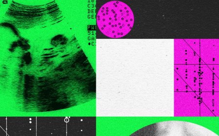 Designer Baby Companies Are in Turmoil