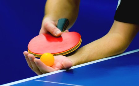 Ace the Ping-Pong Robot Can Whup Your Ass