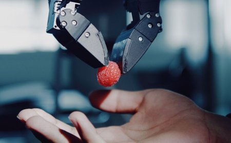 I've Covered Robots for Years. This One Is Different