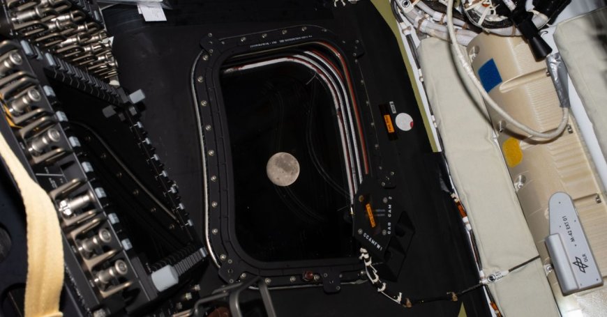 Artemis II Astronauts Safely Return to Earth After Historic Flight Around the Moon