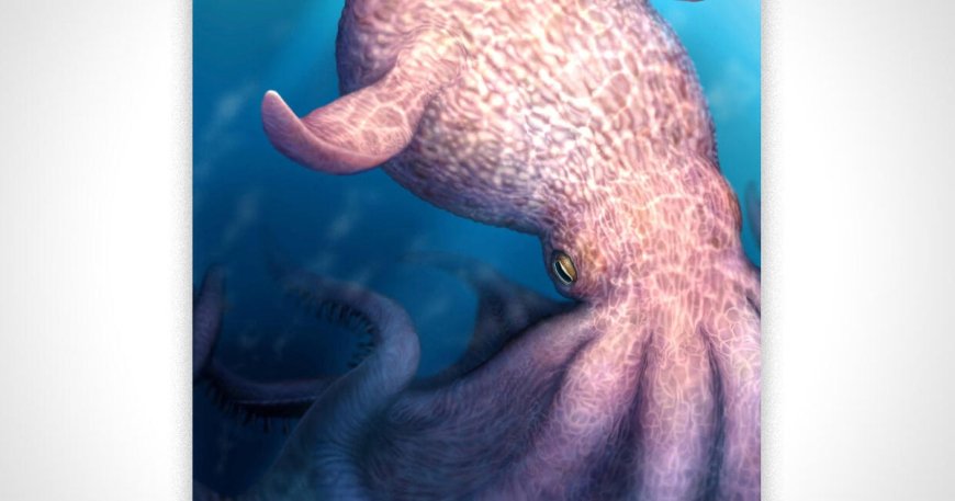 60-foot octopus ruled the seas during age of dinosaurs, fossils show
