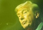 Trump Pivots on AI Regulation, Worker Ousted by DOGE Runs for Office, and Hantavirus Explained