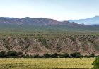 How Wet Weather in Argentina Helped Fuel the Cruise Ship Hantavirus Outbreak