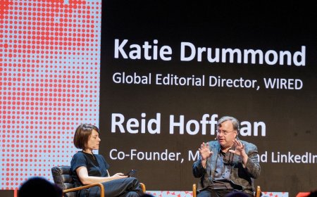 Reid Hoffman Thinks Doctors Should Ask AI for a Second Opinion