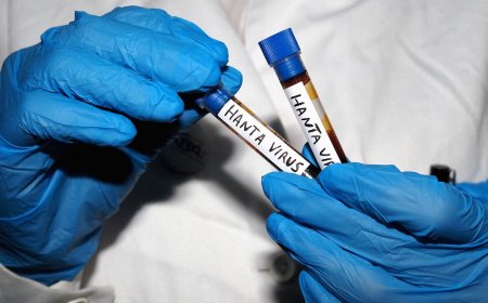All Your Hantavirus Questions, Answered by an Infectious Disease Expert