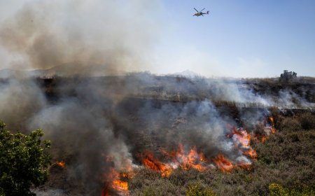California’s Wildfire Season Is Already Overactive