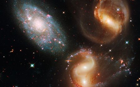 Cosmic Voids May Contain the Universe’s Best Secrets