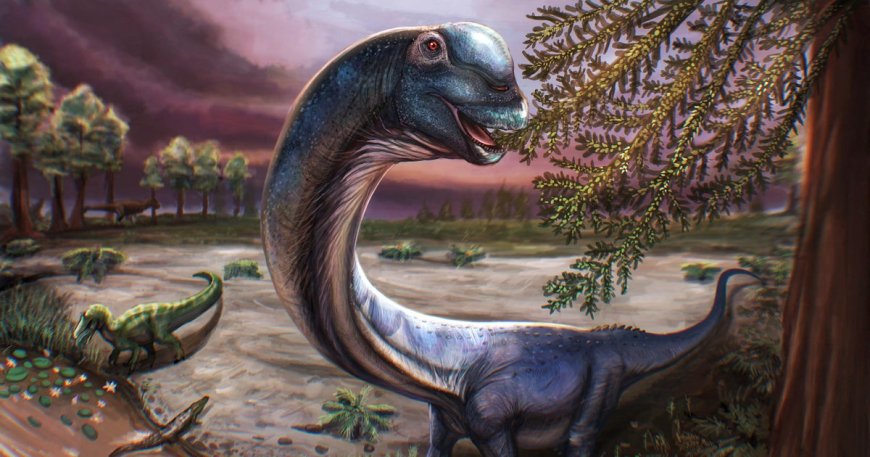 New dinosaur weighing as much as 9 elephants identified by scientists