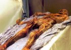 Scientists find yeast in frozen mummy's guts, use it to make bread