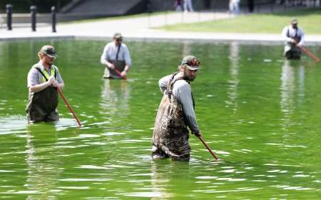 Why the Reflecting Pool Is Full of Algae After Trump's Renovation