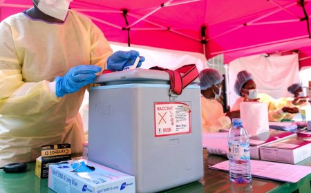 The Most Promising Ebola Vaccine Has Been Sitting on the Shelf for 15 Years
