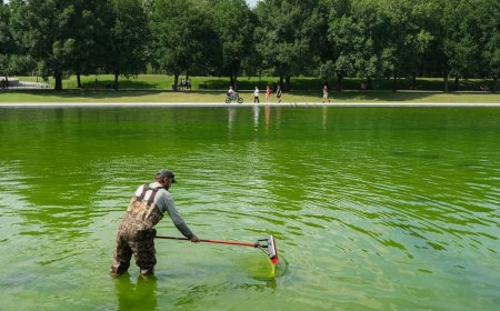 Even the Internet’s Favorite Pool Guy Doesn’t Know How to Fix the Reflecting Pool