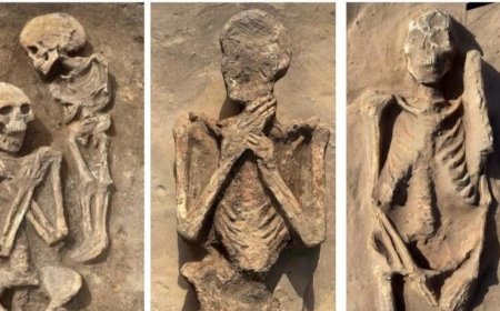 Ancient Egyptian burial site reveals centuries of changing traditions