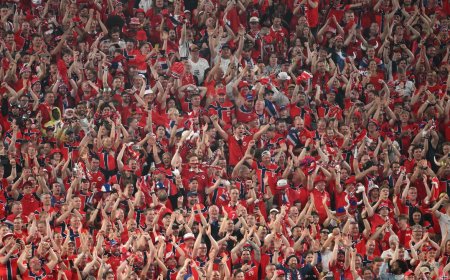 Every Time Norway Scores at the World Cup the City of Bergen Trembles