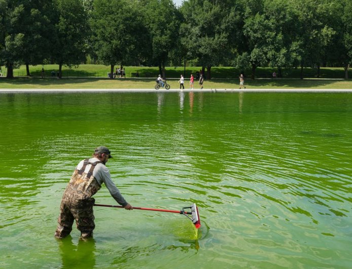 Even the Internet’s Favorite Pool Guy Doesn’t Know How to Fix the Reflecting Pool