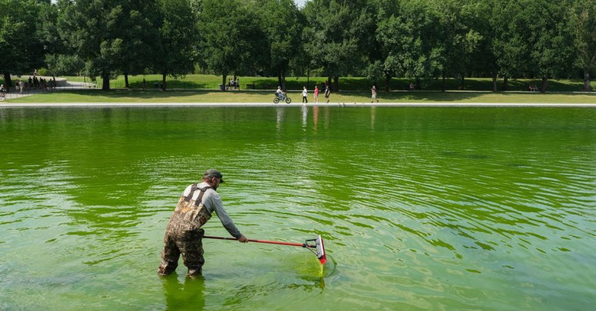 Even the Internet’s Favorite Pool Guy Doesn’t Know How to Fix the Reflecting Pool