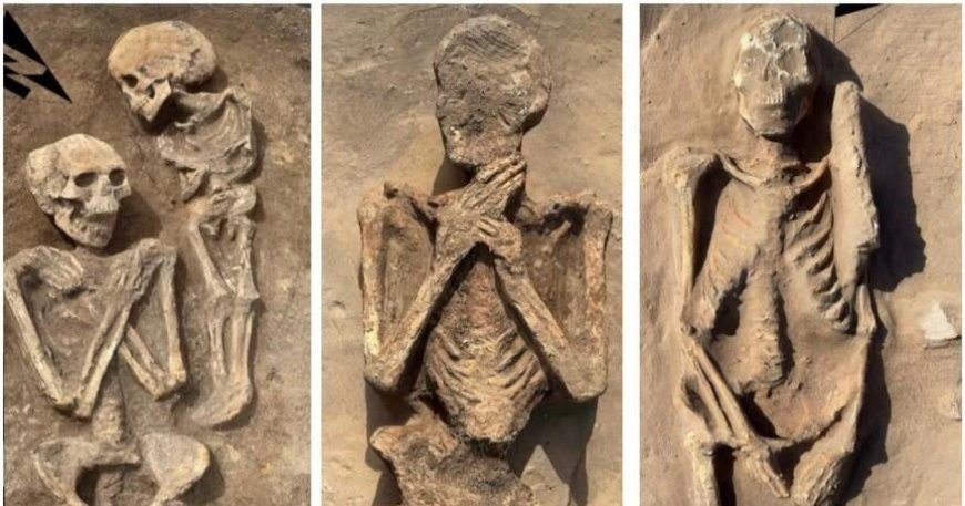 Ancient Egyptian burial site reveals centuries of changing traditions