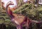 Fossil found in drawer turns out to be first dinosaur bone from Antarctica