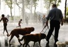 New York Is About to Feel Hotter Than Phoenix