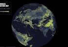 There’s a Global Network of Fungi Under Your Feet. This Is the First Complete Map