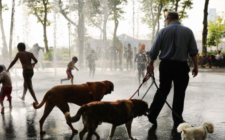 New York Is About to Feel Hotter Than Phoenix