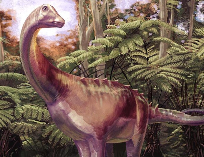 Fossil found in drawer turns out to be first dinosaur bone from Antarctica