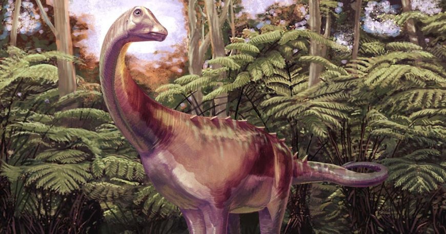 Fossil found in drawer turns out to be first dinosaur bone from Antarctica