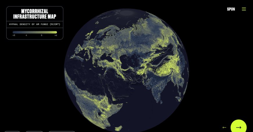 There’s a Global Network of Fungi Under Your Feet. This Is the First Complete Map